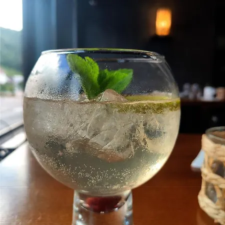 酒店 Hotel Influences La Bresse 拉布雷斯