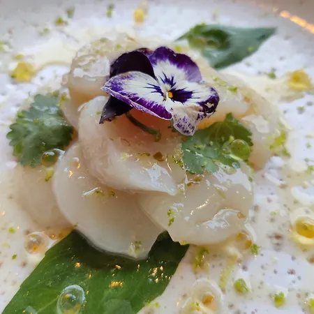 Hotel Influences La Bresse La Bresse