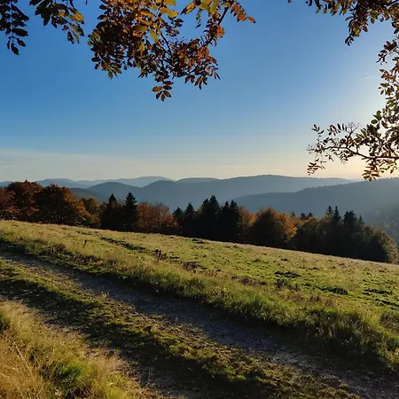Ξενοδοχείο Hotel Influences La Bresse La Bresse
