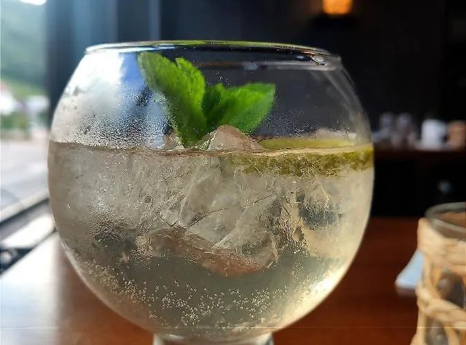 Hotel Influences La Bresse