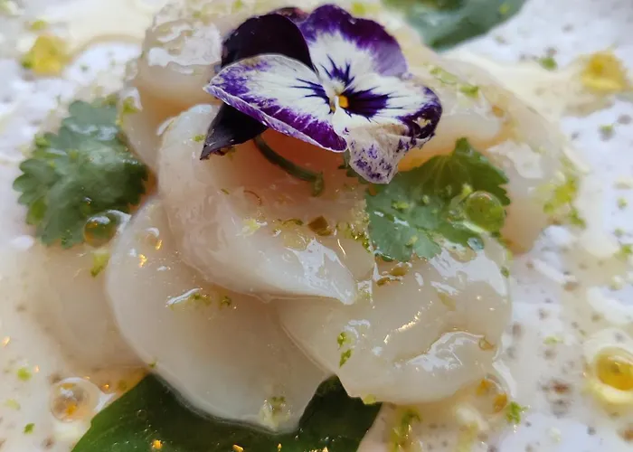 Hotel Influences La Bresse La Bresse